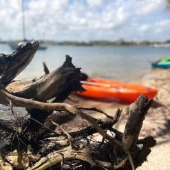 Pelican Sport Pulse 100X With Paddle Kayak -Pelican Shop KOS10P102 00 LS4