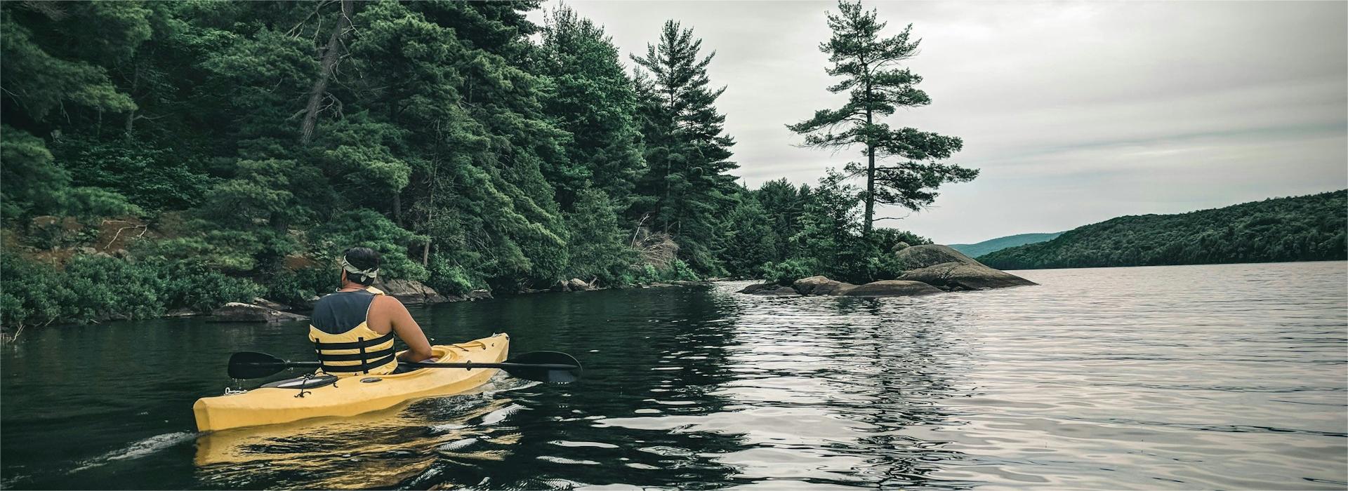 Pelican Shop -Pelican Shop unnamed file